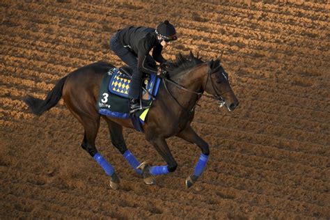 Santa Anita opens Autumn meeting optimistic it can avoid shrinking fiel.